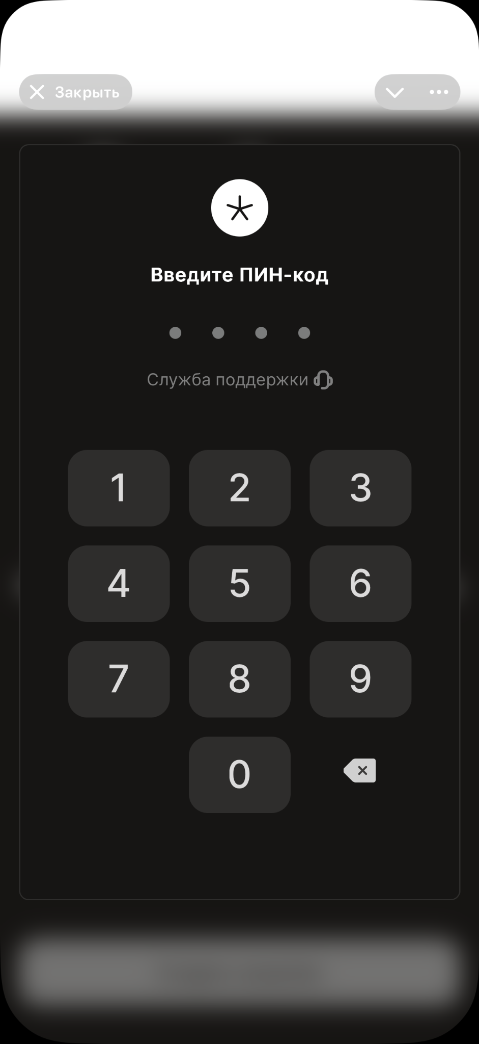 Вход по PIN-коду в Spicy Wallet